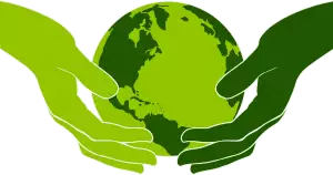 Environmentální Význam