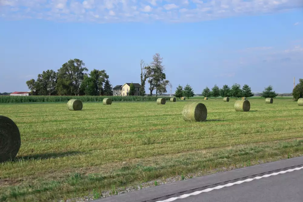 Úročení Kauce